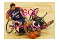[스포츠의학]SCI(Spinal Cord Injury)