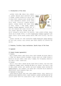 [해부학]슬관절(전방십자인대, 후방십자인대, 내측측부인대, 외측측부인대)의 해부학과 스포츠 손상