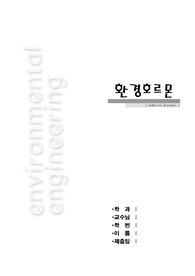 [환경호르몬] 환경호르몬 원인, 환경호르몬 피해, 환경호르몬 영향, 환경호르몬 대책