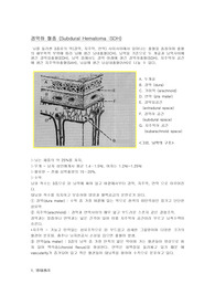 [간호]경막하 혈종 (Subdural Hematoma :SDH)