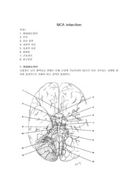 [간호]MCA infarction