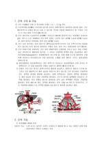 [간호학]Liver Cirrhosis