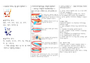 [구강교육자료]구강교육 리플렛