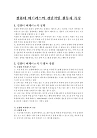 [컴퓨터 ]컴퓨터 바이러스의 전반적인 활동과 특징