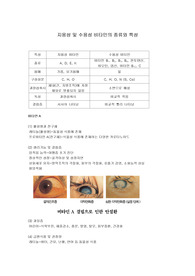 [비타민]비타민의 종류와 특성