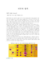 피부와 혈액