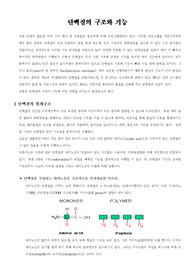 [단백질의입체적구조]단백질 구조와 기능