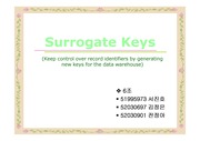 데이터웨어하우스의 Surrogate Keys