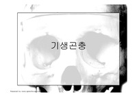 기생곤충에 관한 전반적인 발표 ppt자료