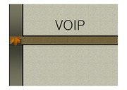 voip (인터넷 전화)
