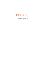 중소기업 필룩스(FEELUX)의 성공사례(전략)