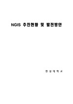 [경제]NGIS 추친현황 및 발전방안