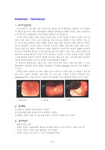 Gastroscopy(위 내시경)