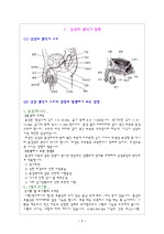 생식기 질환