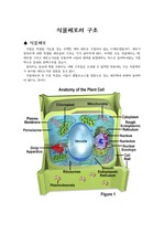 [생명과학]식물세포