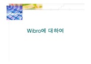 [정보통신]wibro에 대하여