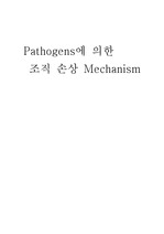 Pathogens에 의한 조직 손상 mechanism