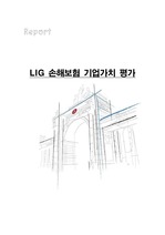 LIG 손해보험의 기업 가치 분석(재무, 마케팅 분야)