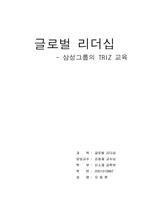 삼성 그룹의 TRIZ 교육