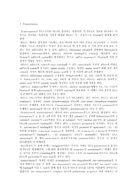transcription과 translation