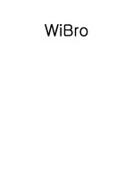 [WiBro]WiBro 요소기술과 표준에 대한 보고서