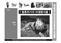 [환경]멸종위기의 야생동식물
