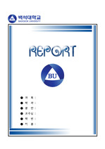 백석대학교 대표 레포트표지