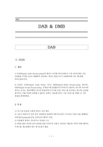 [사회과학]DMB & DAB