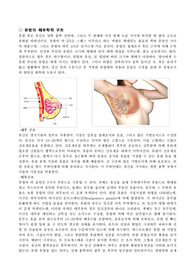 [간호학]유방암 문헌고찰