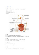 소화기계 구조와 기능 및 임상검사