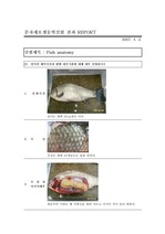 [자연과학]FISH ANATOMY- 붕어 해부