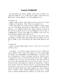 Piaget의 인지발달이론