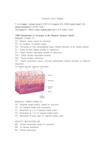 Stomach Cancer Staging