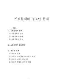 사회문제와 청소년 문제