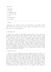 [사회과학]리오 축제