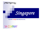해외시장조사 및 진출전략-싱가포르