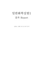 [자연과학]생활속의 산-염기 분석