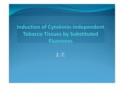 사이토키닌 대신 fluorenes사용에관한 논문 프리젠테이션
