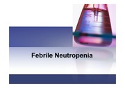 [의학약학]Febrile Neutropenia