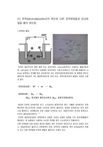 [재공실험4]전착(electrodeposition)실험-예비