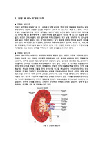 [간호학]신장의 구조와 기능