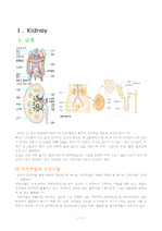 [간호학]신부전 케이스 스터디