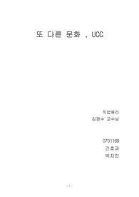 [문화]또 다른 문화, UCC[A+레포트]