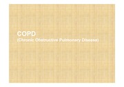 만성폐쇄성폐질환(COPD)의 모든것!