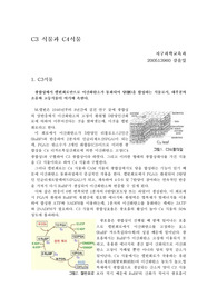 C3식물과 C4식물