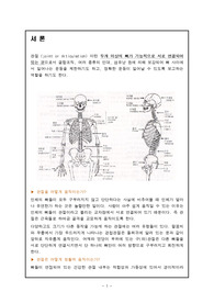 인체해부학 -관절의 모든것 관절,연골,joint,결합,Cartilaginous, 인체해부학, 인체 해부학, 해부학 관절, 인체 관절,