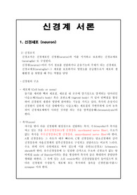 해부학-신경계의 모든것