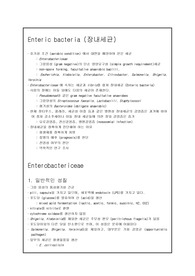 미생물학 - 여러가지 세균들