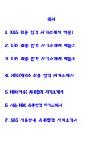 [언론사] 2008 MBC,KBS,SBS최종합격 자기소개서