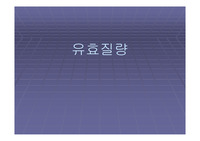 유효질량